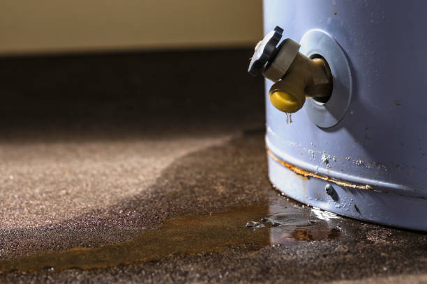 Best Residential water damage restoration  in Mount Vernon, TX